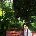 ֻƬ