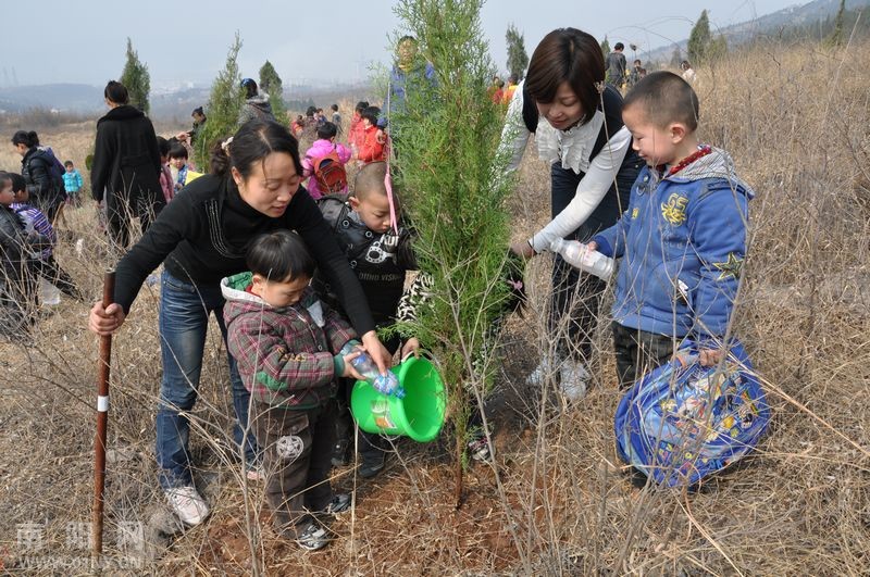 淅川小红星幼儿园绿化荒山植树忙