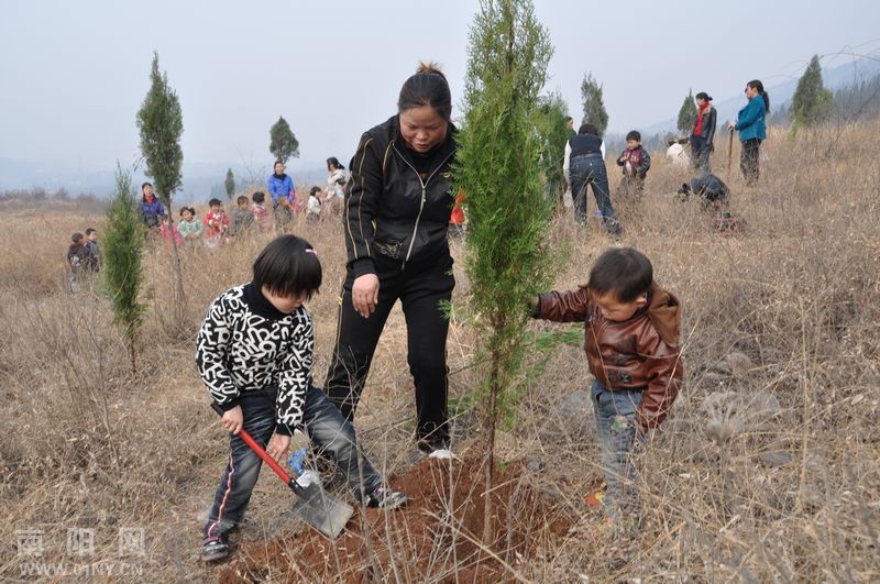 淅川小红星幼儿园绿化荒山植树忙-通讯员之窗