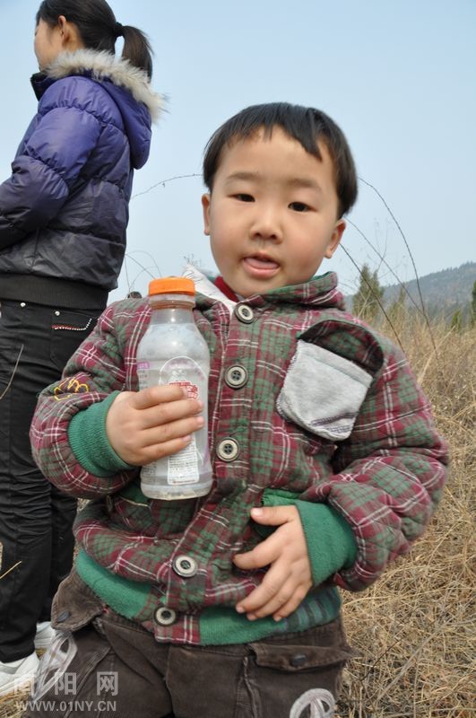 淅川小红星幼儿园绿化荒山植树忙-通讯员之窗