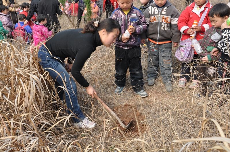 淅川小红星幼儿园绿化荒山植树忙-通讯员之窗