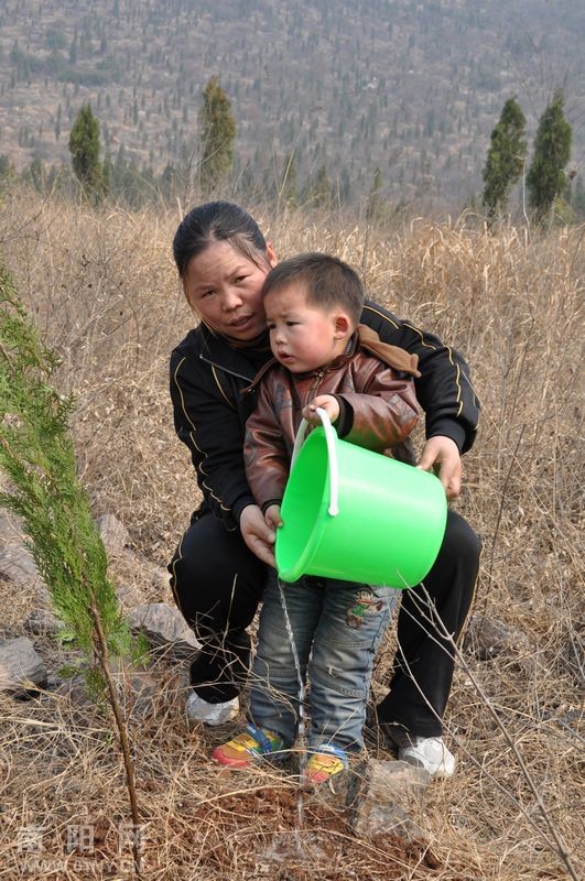 淅川小红星幼儿园绿化荒山植树忙-通讯员之窗