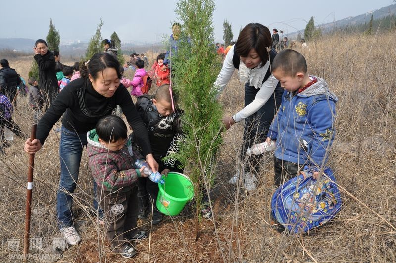 淅川小红星幼儿园绿化荒山植树忙-通讯员之窗