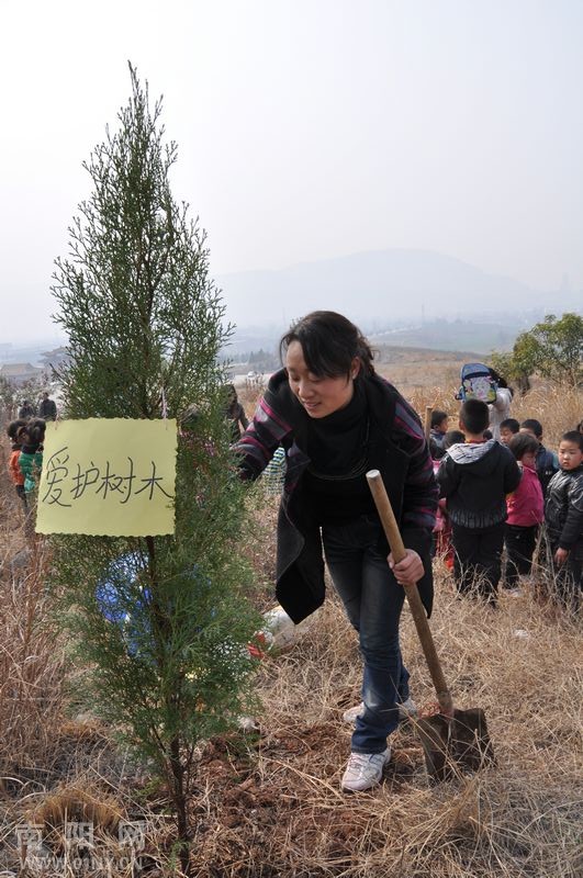 淅川小红星幼儿园绿化荒山植树忙-通讯员之窗