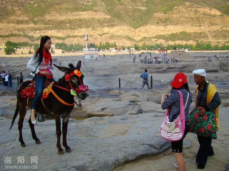 <em>陕北</em>老乡 毛驴 <em>美女</em>-侃图论图-36行社区-bbs.01