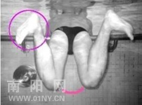 蛙泳腿部动作技术要领-初学者篇-南阳泳人-36