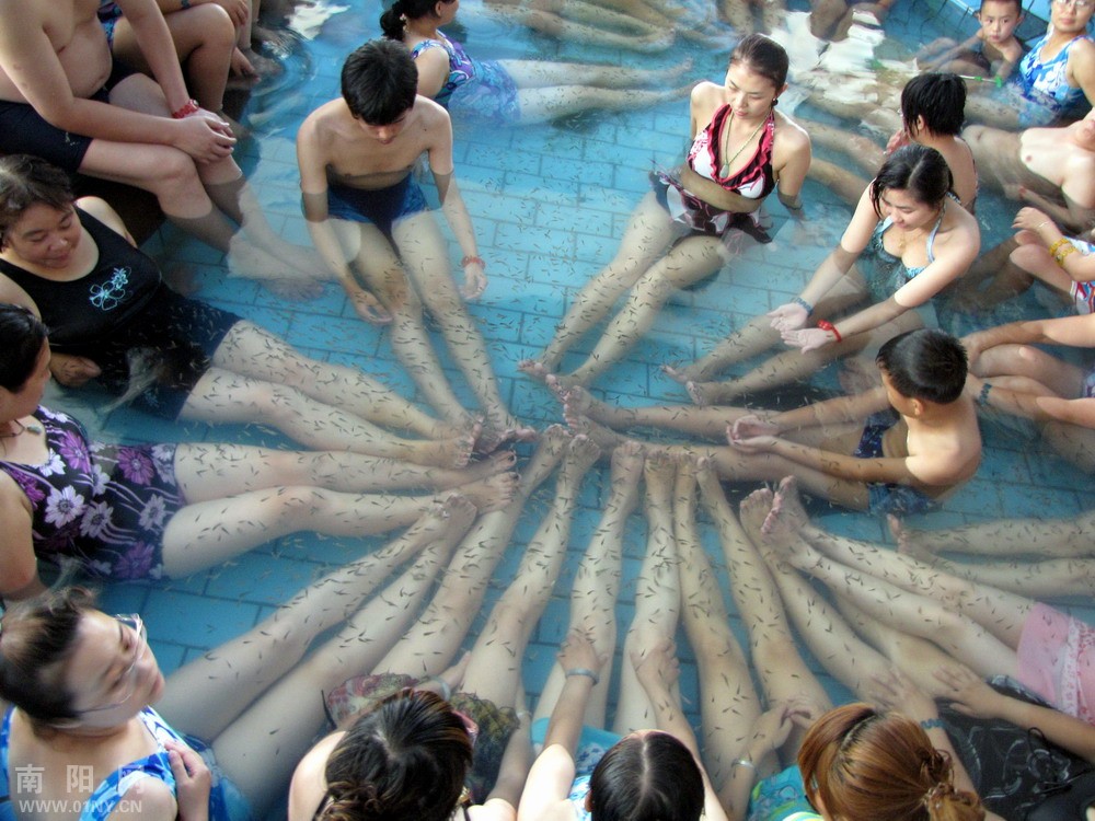 莲花温泉随拍---吃人的鱼