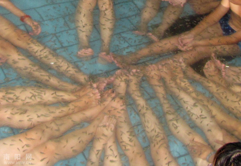 莲花温泉随拍---吃人的鱼