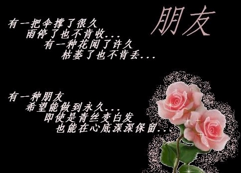 谁需要买保险请找我咨询 - 南阳爱玩团 - 南阳社