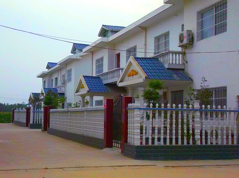 南阳新农村建设叫停_平成建设_建设轮胎_新农村建设 ...
