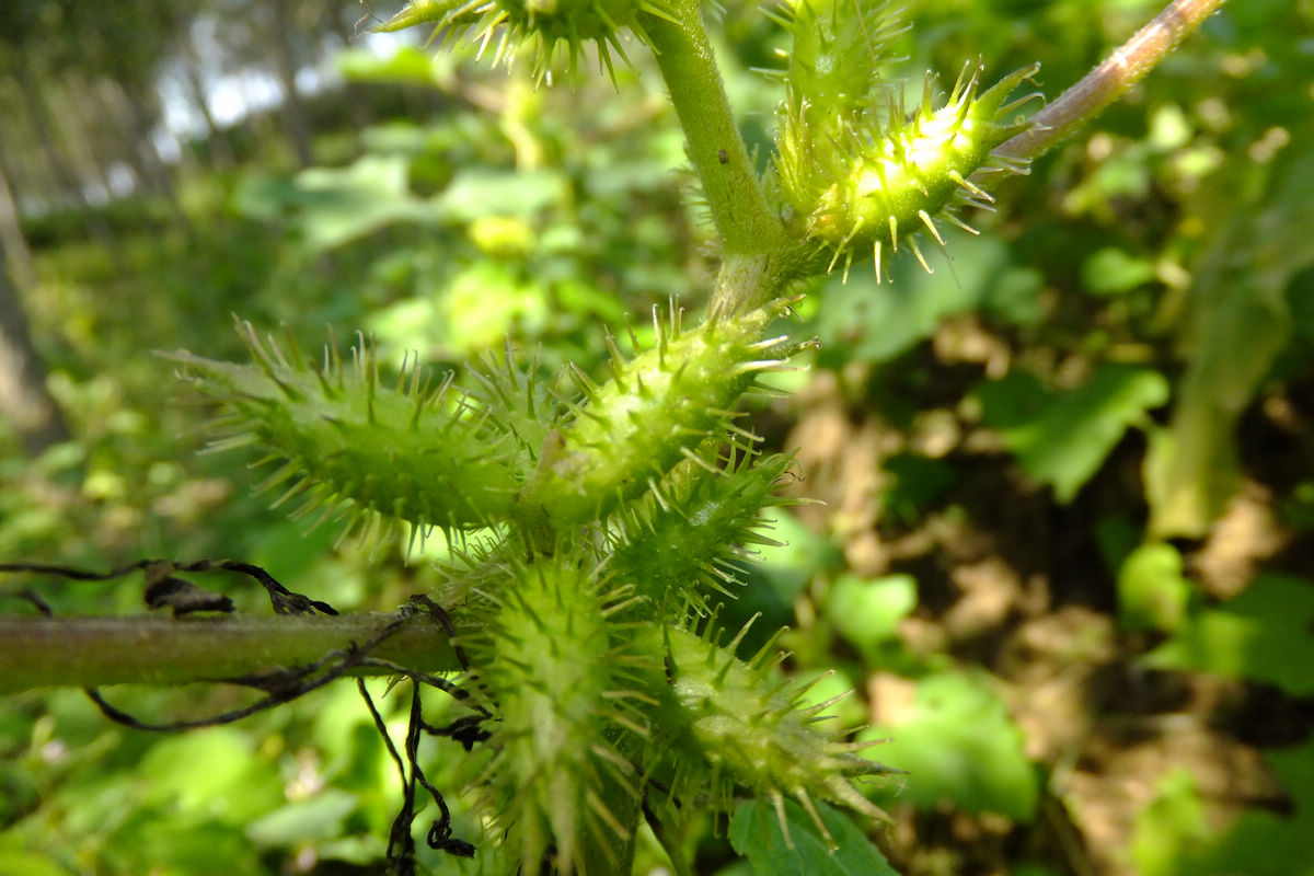 叁牙<em>妹看</em>过来!鼻炎方子|家有儿女 - 昆山论坛
