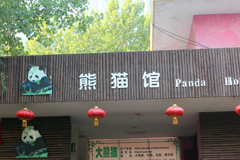 郑州动物园熊猫馆