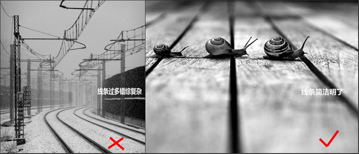 让照片更具备魅力 摄影构图之线条构图