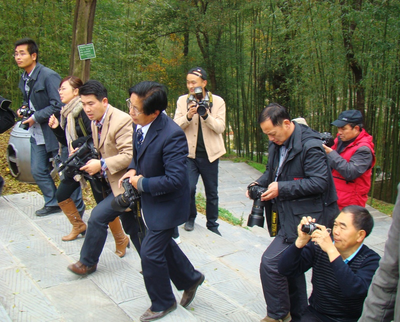 DSC08358.jpg