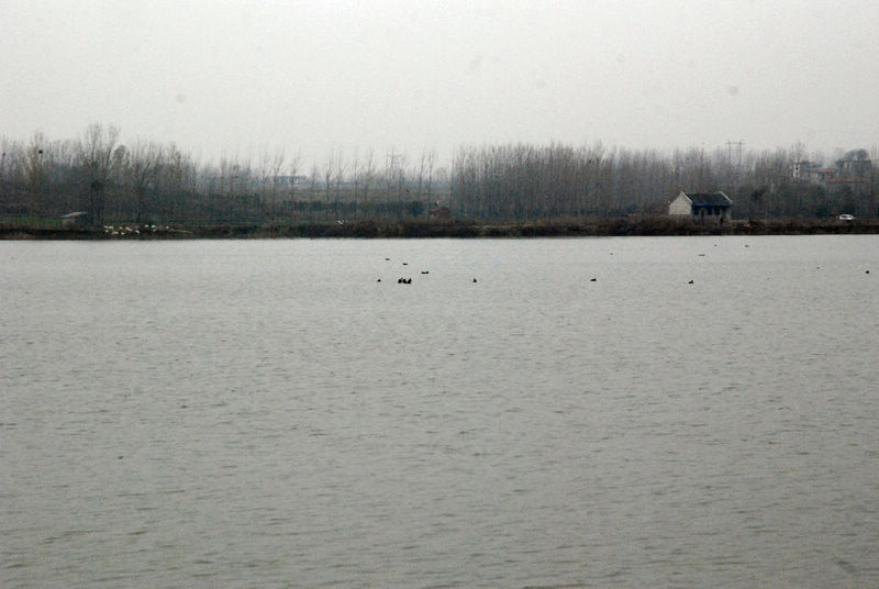 DSC_4673.jpg