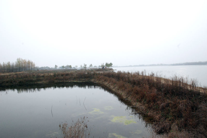DSC_4678.jpg