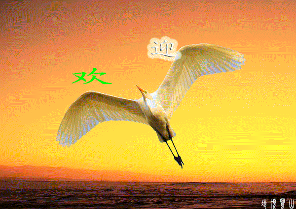 欢迎光临.gif