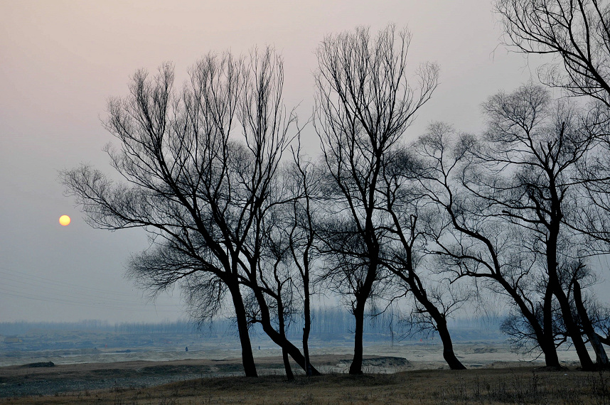 DSC_0103.jpg