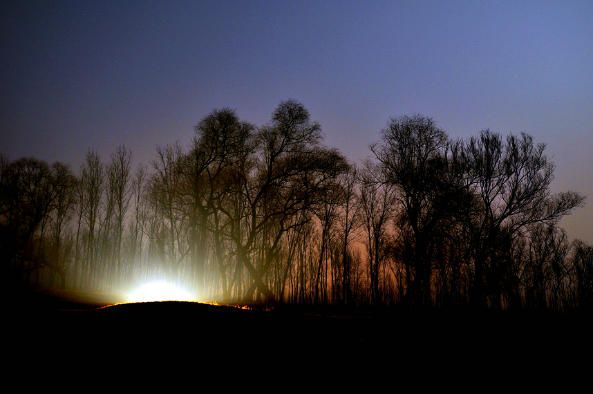 DSC_0154.jpg