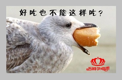 那些年我们一起追过的<em>经典女人歌</em>,给妇女节的