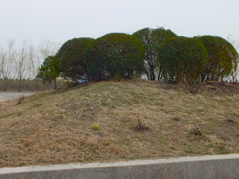 DSCF7264.jpg