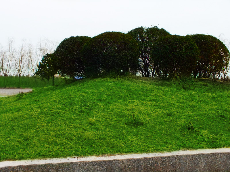 DSCF7264.jpg