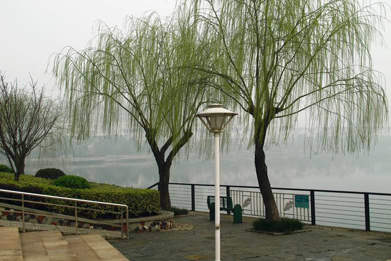 武汉南湖春景