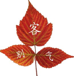 <em>女人嫁给谁都会后悔</em> - 第9页 - 桐柏论坛 - 南阳社