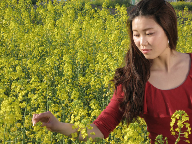 油菜花中美女