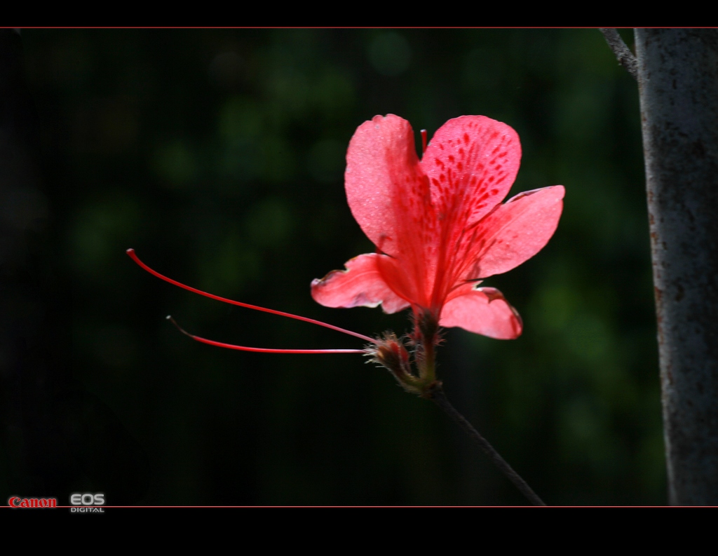IMG_3979.jpg