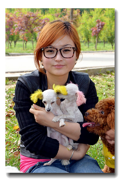 美女与狗