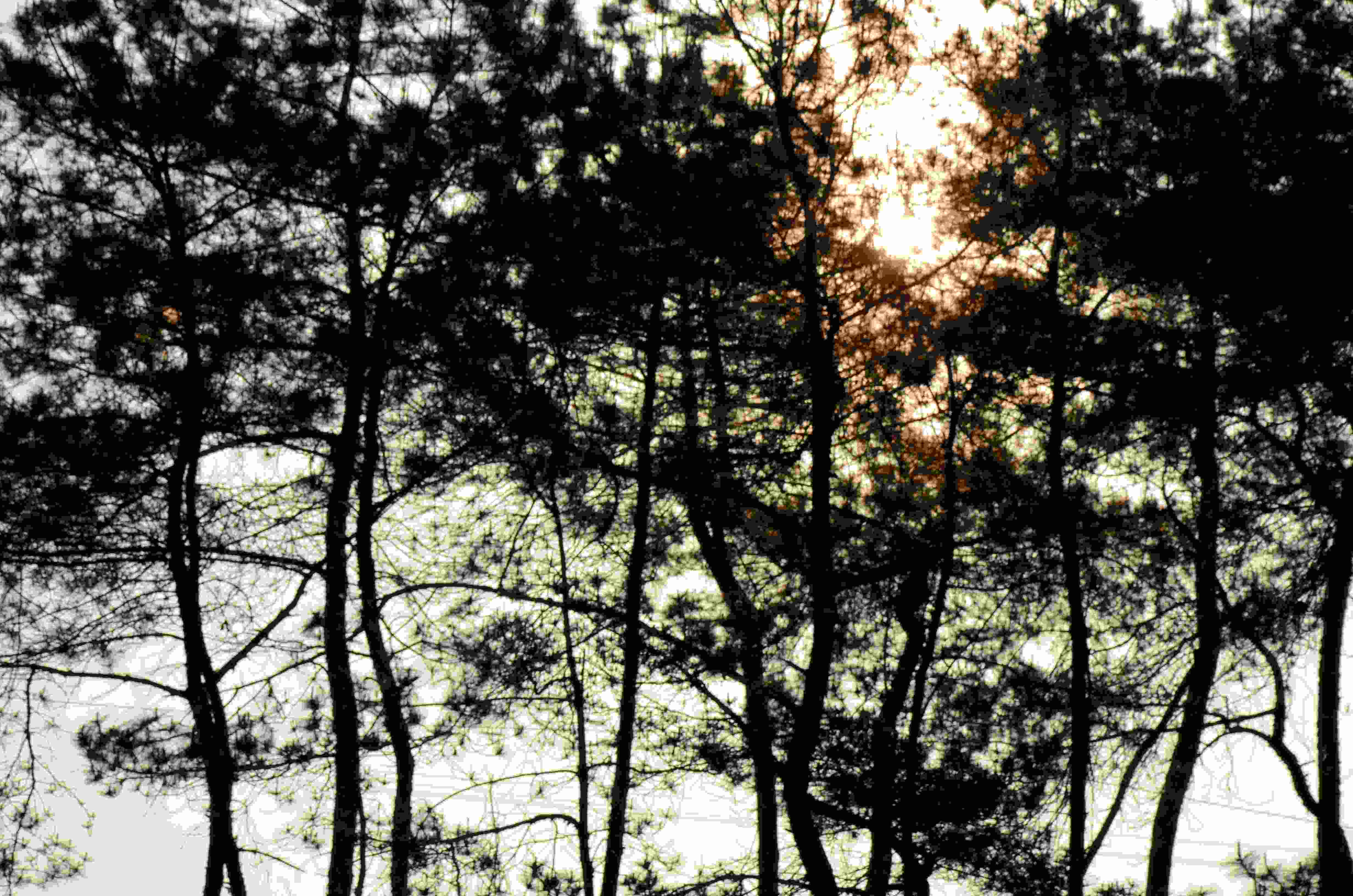 清爽怡夏(虎山采风)