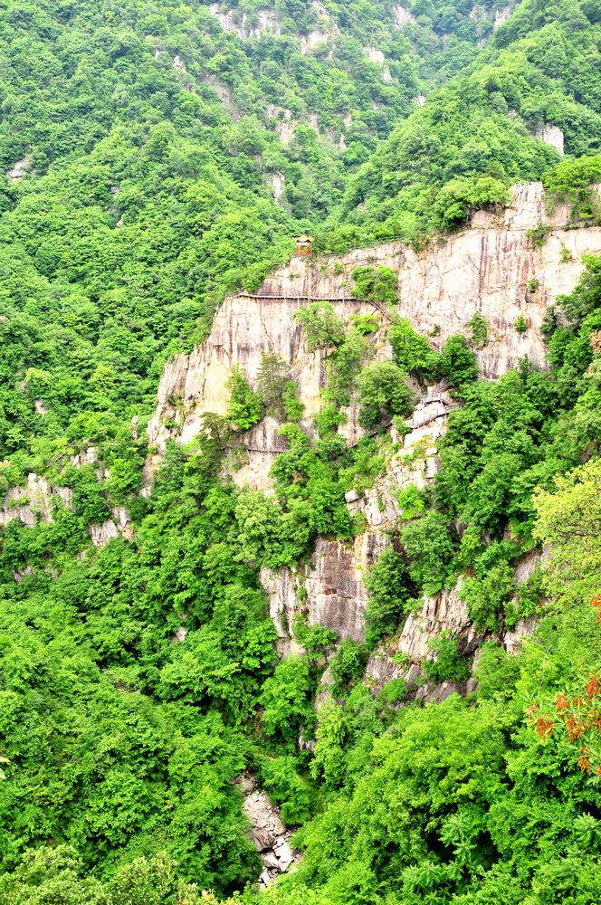 采风西峡--银树沟