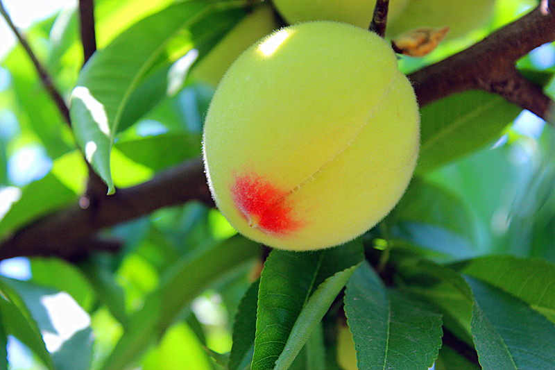 2012.5.20¼ʯҡ 006_.jpg