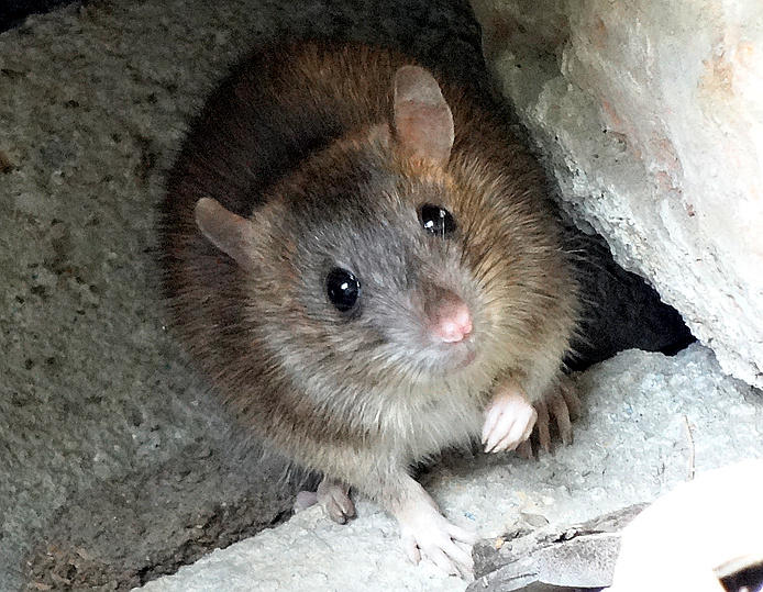 她告诉我不喜欢学开车。扭头就跑。-学车交