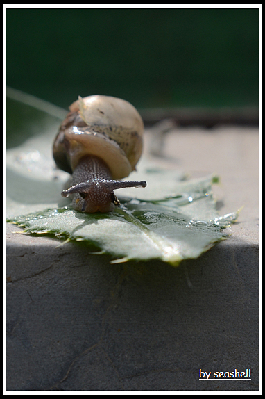 DSC_8239.jpg