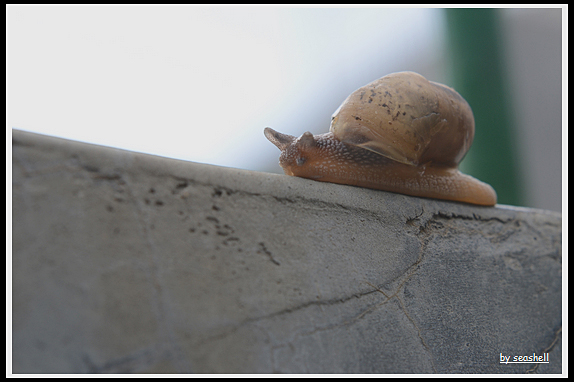 DSC_8206.jpg
