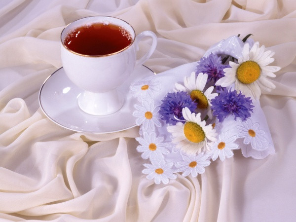 备战2012中考:成绩提高必须坚持九法则-名师讲