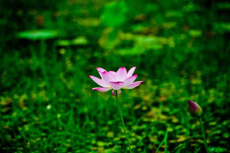 DSC_9908.jpg