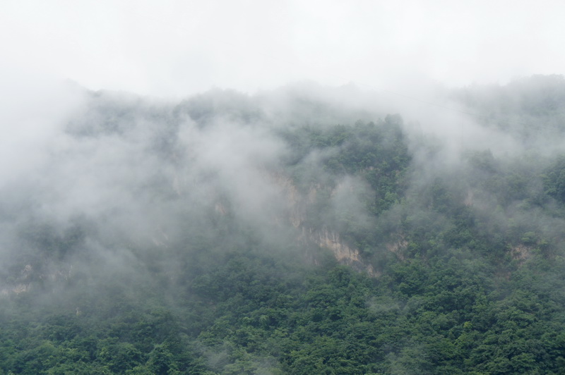 DSC01214.JPG+.jpg
