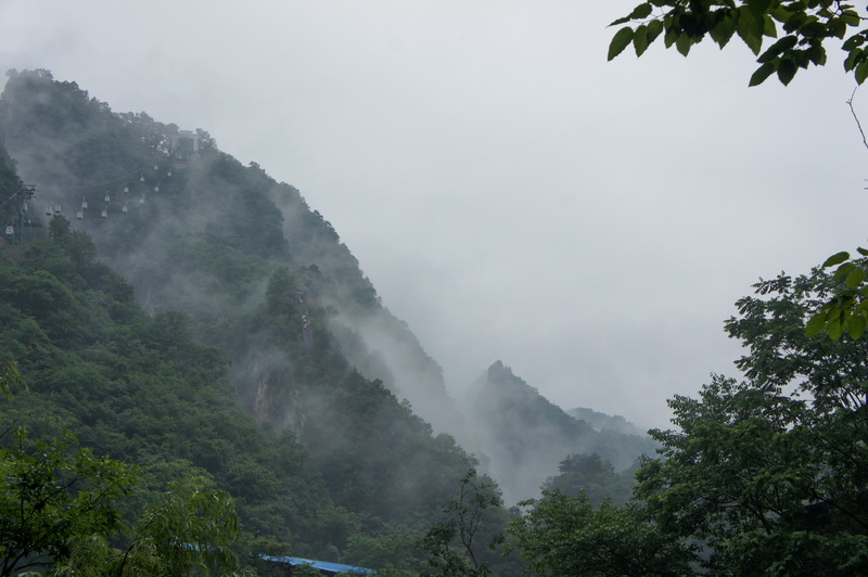 DSC01185.JPG+a.jpg