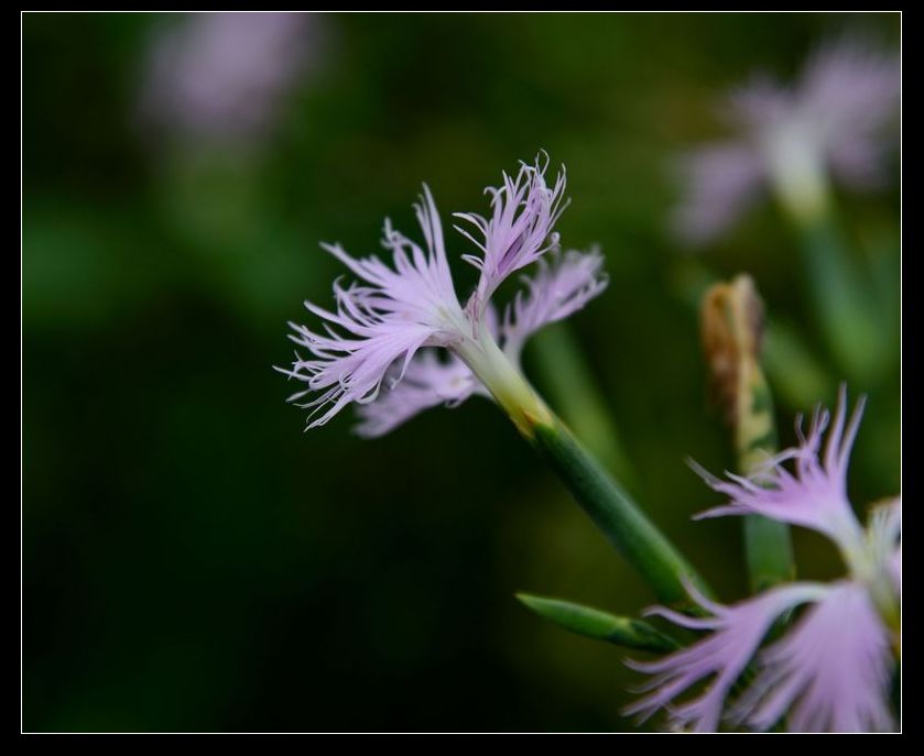 DSC_1838_893.JPG