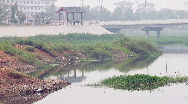 镇平部赵河湿地公园采风花絮