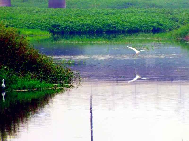 dscf7875_.jpg