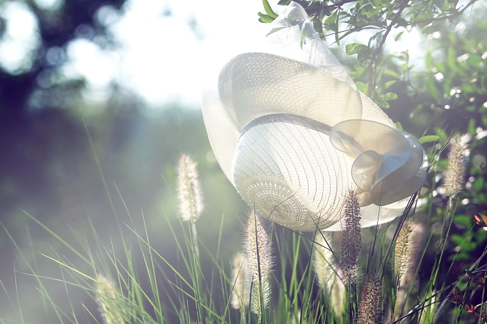 那个夏天,。-静物小品-南阳社区-bbs.01ny.cn