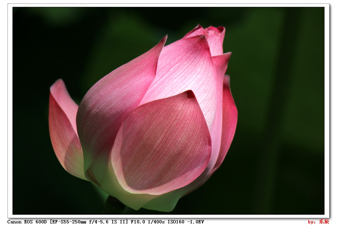 nEO_IMG_IMG_1273.jpg