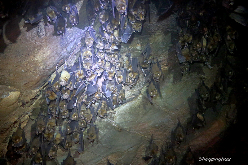 云华蝙蝠洞-行摄风光-南阳社区-bbs.01ny.cn -