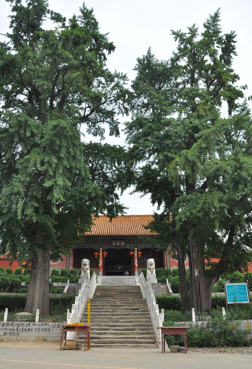 【新野部大乘山采风】千年古刹---普严禅寺