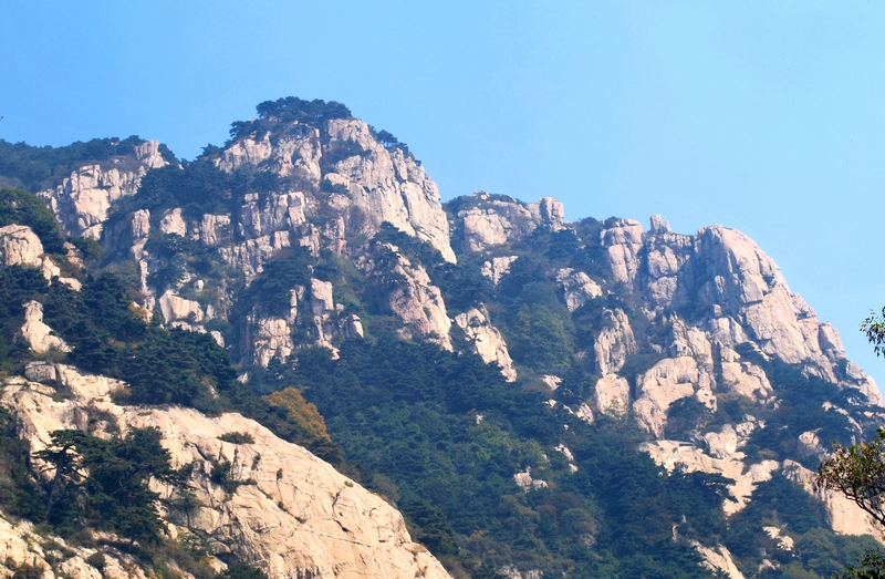 DSC_1771.jpg