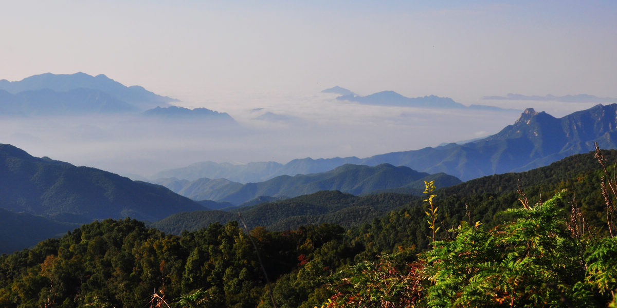 西灵山